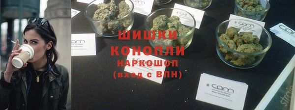 дурь Сатка