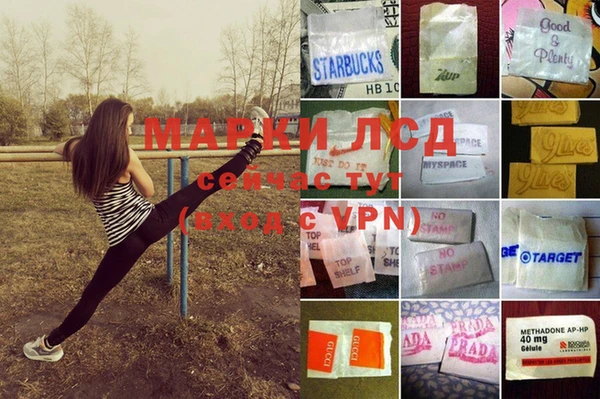 дурь Сатка
