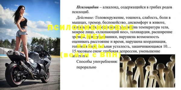 дурь Сатка