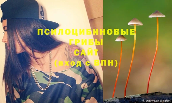mdpv Баксан
